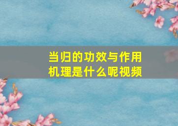 当归的功效与作用机理是什么呢视频