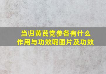 当归黄芪党参各有什么作用与功效呢图片及功效