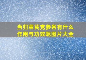 当归黄芪党参各有什么作用与功效呢图片大全