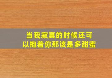 当我寂寞的时候还可以抱着你那该是多甜蜜