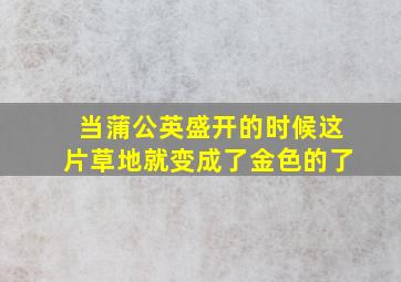 当蒲公英盛开的时候这片草地就变成了金色的了