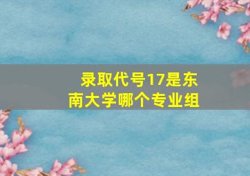 录取代号17是东南大学哪个专业组