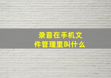 录音在手机文件管理里叫什么