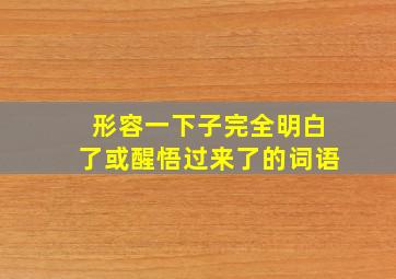 形容一下子完全明白了或醒悟过来了的词语