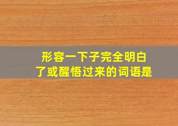 形容一下子完全明白了或醒悟过来的词语是