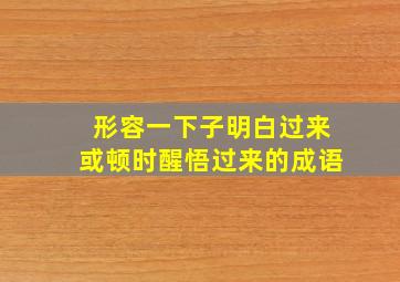 形容一下子明白过来或顿时醒悟过来的成语