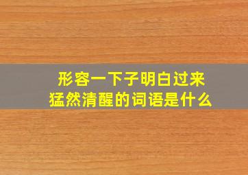 形容一下子明白过来猛然清醒的词语是什么