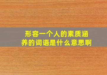 形容一个人的素质涵养的词语是什么意思啊