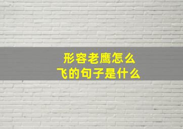 形容老鹰怎么飞的句子是什么