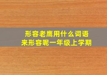 形容老鹰用什么词语来形容呢一年级上学期