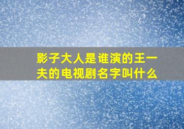 影子大人是谁演的王一夫的电视剧名字叫什么