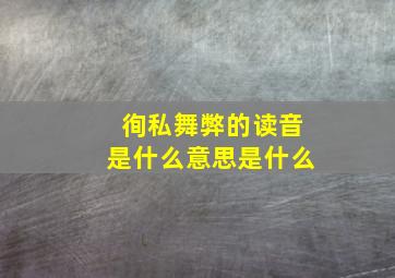 徇私舞弊的读音是什么意思是什么