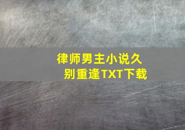 律师男主小说久别重逢TXT下载