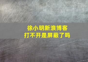 徐小明新浪博客打不开是屏蔽了吗