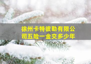 徐州卡特彼勒有限公司五险一金交多少年