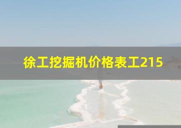 徐工挖掘机价格表工215