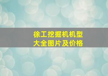 徐工挖掘机机型大全图片及价格