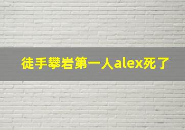 徒手攀岩第一人alex死了