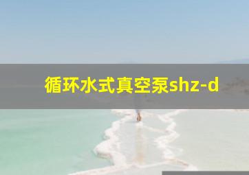 循环水式真空泵shz-d