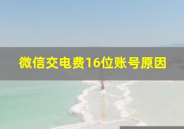 微信交电费16位账号原因