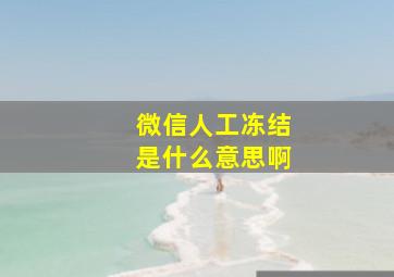 微信人工冻结是什么意思啊