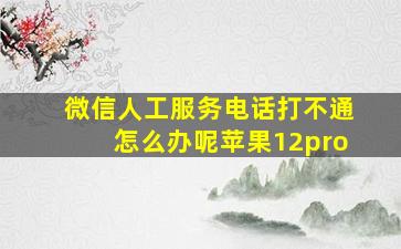 微信人工服务电话打不通怎么办呢苹果12pro