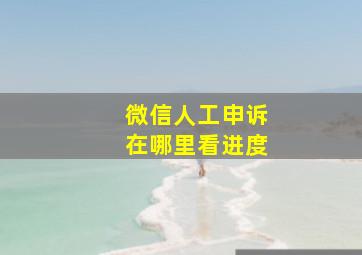 微信人工申诉在哪里看进度