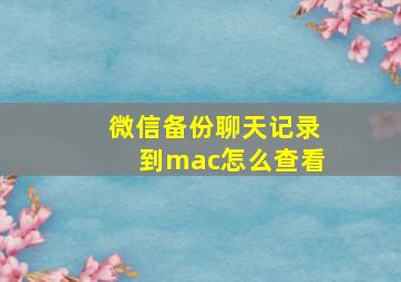 微信备份聊天记录到mac怎么查看