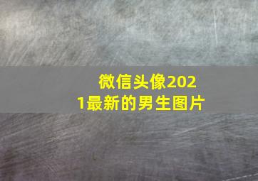 微信头像2021最新的男生图片