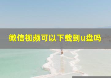 微信视频可以下载到u盘吗