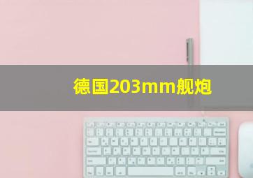 德国203mm舰炮