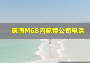 德国MGB内窥镜公司电话