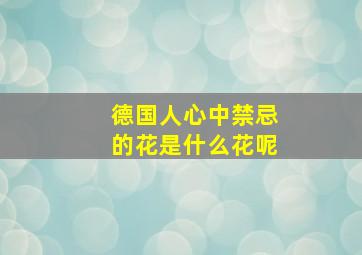 德国人心中禁忌的花是什么花呢