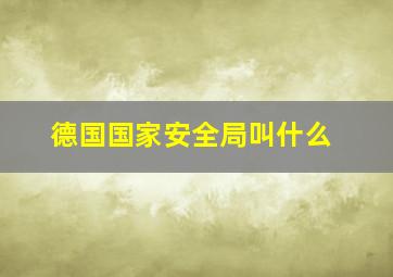 德国国家安全局叫什么