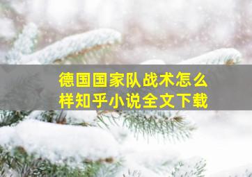 德国国家队战术怎么样知乎小说全文下载