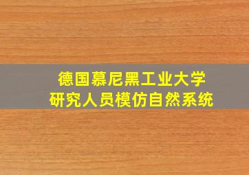 德国慕尼黑工业大学研究人员模仿自然系统