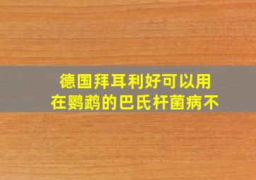 德国拜耳利好可以用在鹦鹉的巴氏杆菌病不