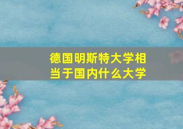 德国明斯特大学相当于国内什么大学