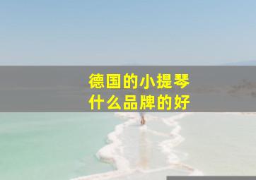 德国的小提琴什么品牌的好