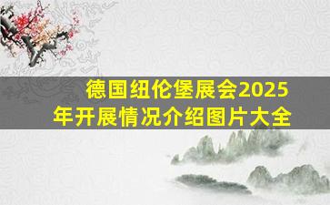 德国纽伦堡展会2025年开展情况介绍图片大全