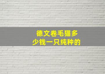 德文卷毛猫多少钱一只纯种的