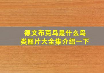 德文布克鸟是什么鸟类图片大全集介绍一下