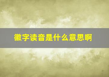 徽字读音是什么意思啊