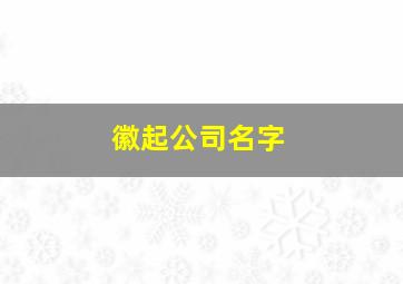 徽起公司名字