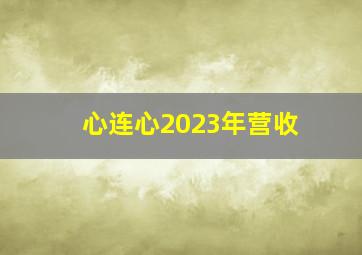 心连心2023年营收