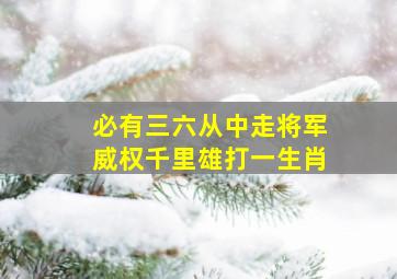 必有三六从中走将军威权千里雄打一生肖