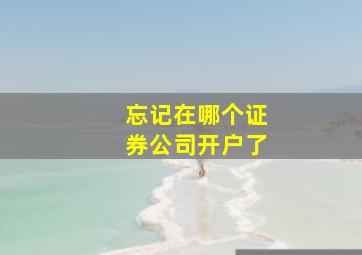 忘记在哪个证券公司开户了