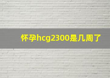 怀孕hcg2300是几周了