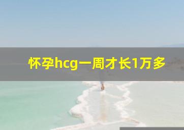 怀孕hcg一周才长1万多