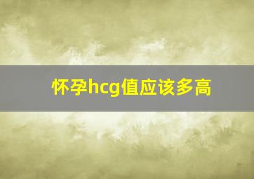 怀孕hcg值应该多高